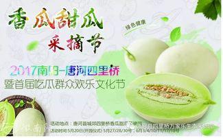 吃瓜唐河,吃瓜群众的趣味生活画卷