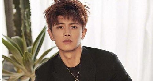 任嘉伦 吃瓜,娱乐圈“吃瓜”达人,揭秘明星幕后故事