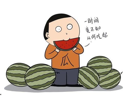 这么客气干啥 吃瓜,揭秘网络热点的背后故事