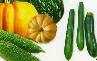 吃瓜的大虫,网络红人的崛起与争议