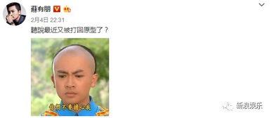吃瓜婆回来了,揭秘娱乐圈最新热点