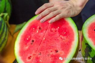 boun吃瓜学校,校园风云录