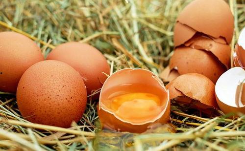 蛋仔id圈吃瓜,揭秘圈吃瓜背后的趣味与争议