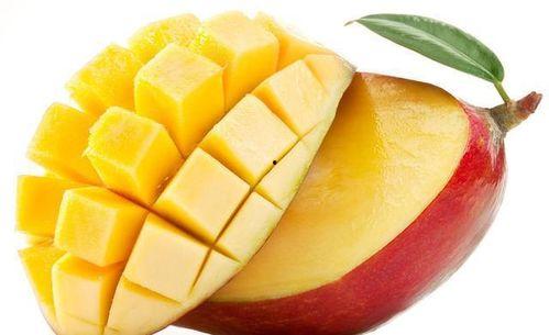 芒果吃瓜小说,揭秘小说中的甜蜜与激情