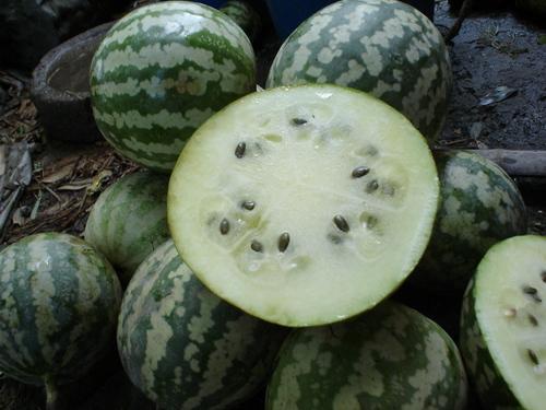 瓜怎么吃,探索各式瓜类美食的多样吃法