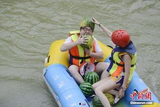 奥陶纪吃瓜群众,古生物时代的“吃瓜群众”众生相