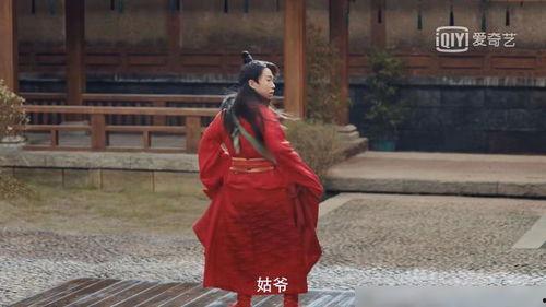 姑爷吃瓜,揭秘现代家庭中的甜蜜“误会”