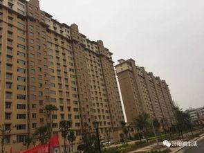 汾阳国际城吃瓜,揭秘网红小区的“吃瓜”日常