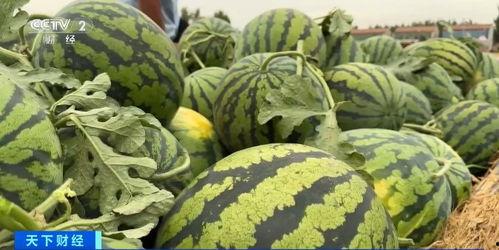 吃瓜了官网,带你领略网络娱乐新风向