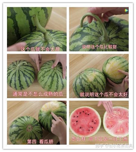 风景真美 吃瓜真香,一场视觉与味觉的双重盛宴