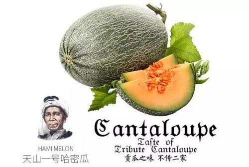 姨妈期吃瓜蜜瓜,蜜瓜美食日记