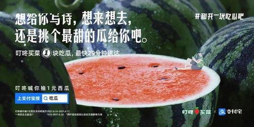 外面吃瓜的文案,揭秘娱乐圈最新热点事件