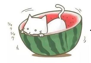 胖球吃瓜,揭秘娱乐圈那些不为人知的幕后故事