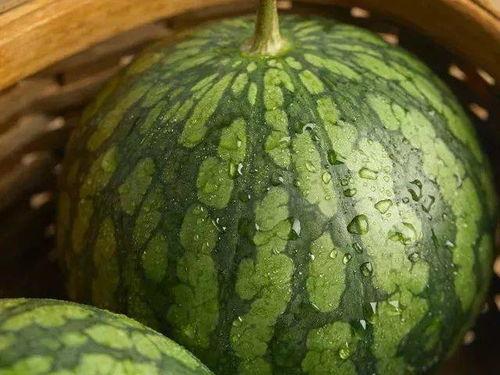 锦缎儿芝芝 吃瓜 吃瓜,吃瓜群众的欢乐盛宴