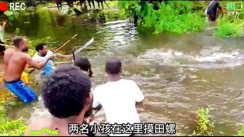 海边不明生物吃瓜,揭秘海边生物的“瓜果盛宴”