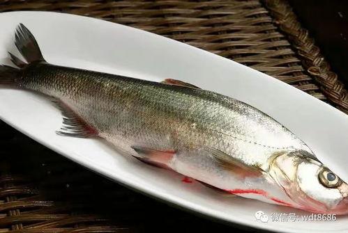 书俊吃瓜鱼,揭秘娱乐圈的幕后故事