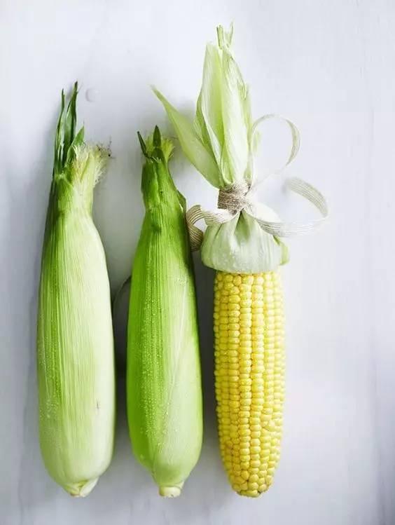 苞米公主吃瓜系统,苞米公主的奇幻瓜界探险记