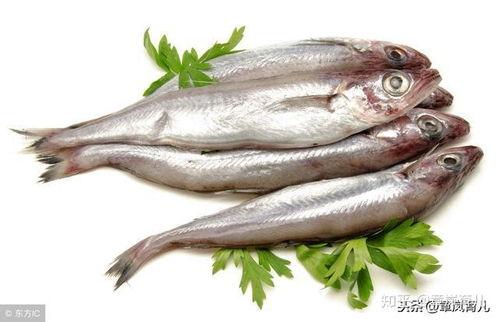 吃楠瓜能吃海鱼吗,吃楠瓜与海鱼同食的注意事项