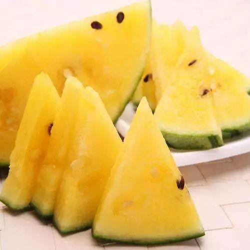 张师傅吃瓜,张师傅的瓜田奇遇记