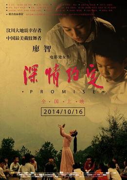 深情约定,永恒的承诺与真挚的情感之旅