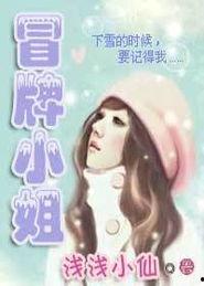 冒牌小姐,一场身份的伪装与真相的追寻